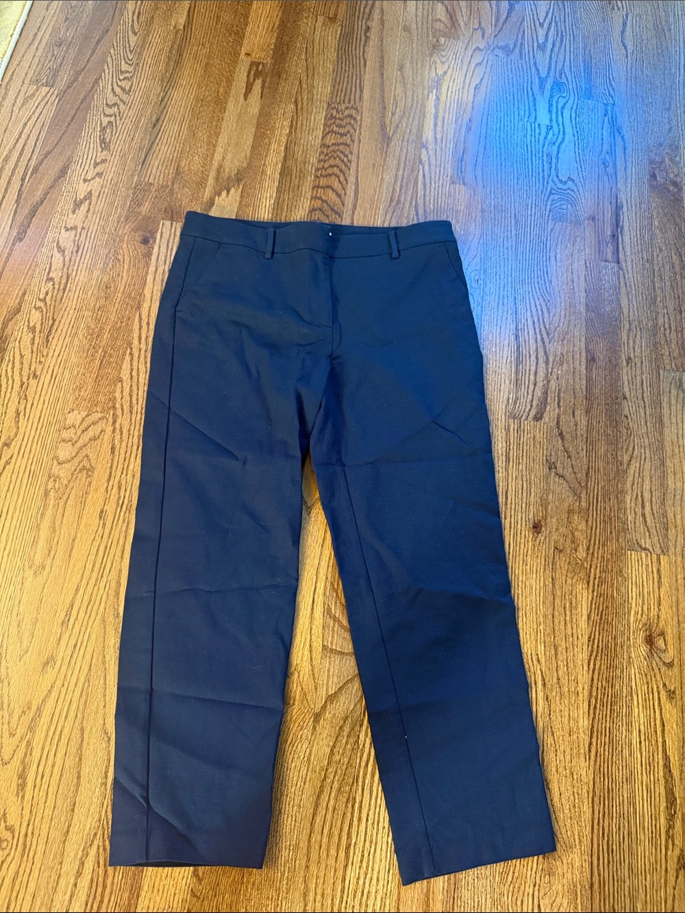 Ann Taylor Loft Lady’s Navy Cropped Dress Pants - Classic Straight Fit